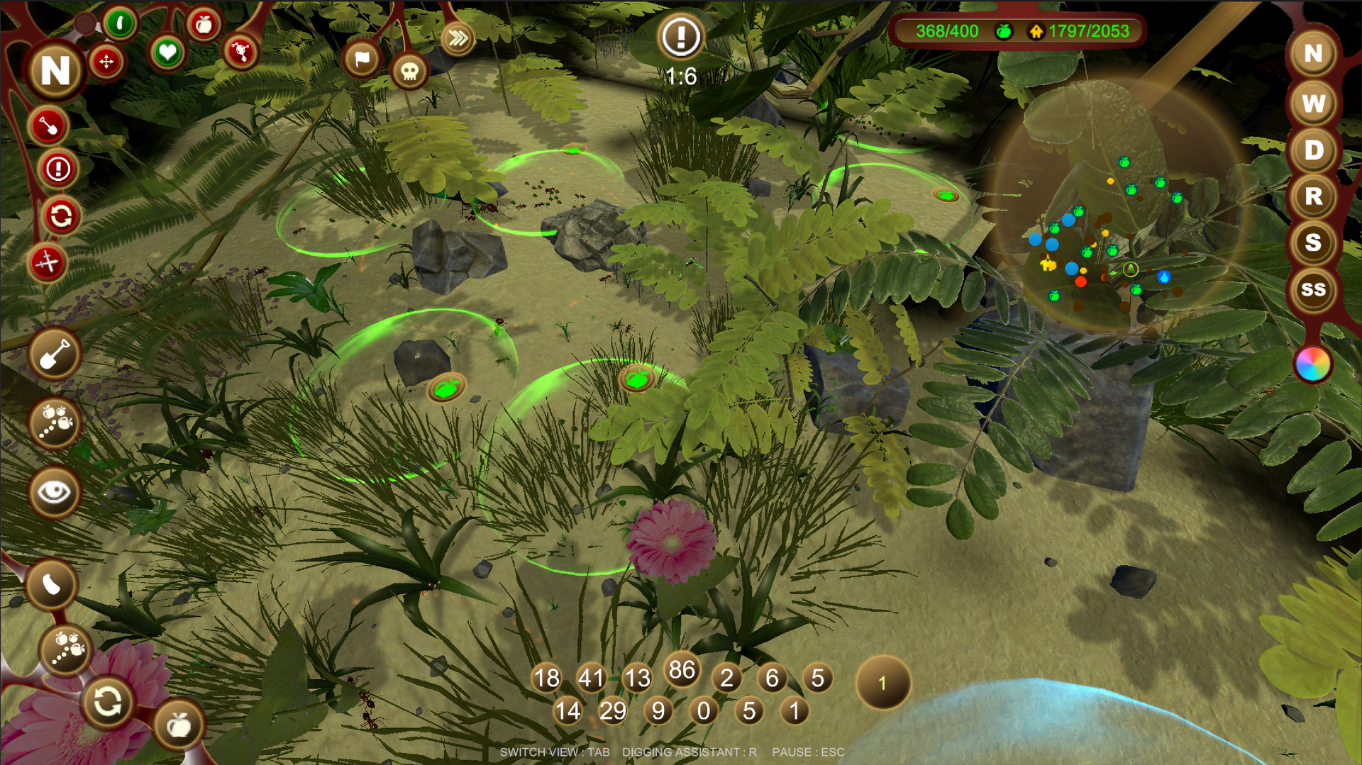 AntQueen 3D