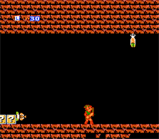 Metroid Quest - Screenshot - Gameplay Image