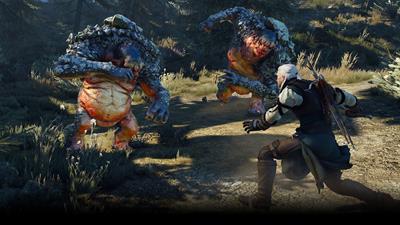 The Witcher III: Wild Hunt - Screenshot - Gameplay Image