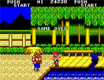 Double Dragon - Screenshot - Game Over Image