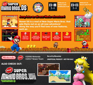 Newer Super Mario Bros. DS - Fanart - Box - Back Image