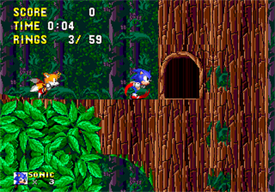 Sonic 2: Delta - Screenshot - Gameplay Image