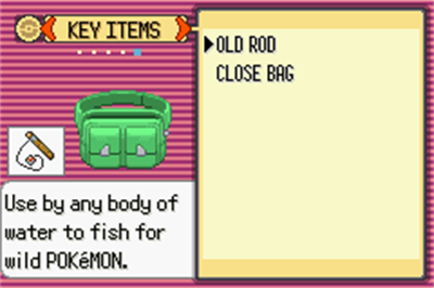 Pokémon Emerald Balanced - Screenshot - Gameplay Image