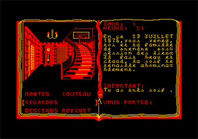 Peur sur Amityville - Screenshot - Gameplay Image