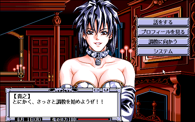 Seek: Chikashitsu no Mesu Dorei-tachi