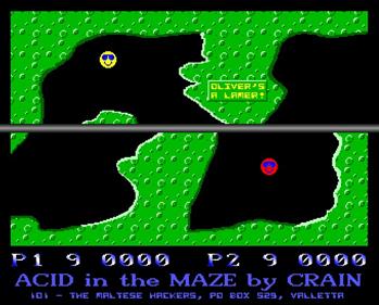 Acid In The Maze - Screenshot - Gameplay Image