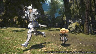 Final Fantasy XI Online: Vana'diel Collection 2008 - Screenshot - Gameplay Image