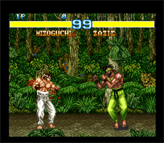 Fighter's History: Mizoguchi Kiki Ippatsu!! - Screenshot - Gameplay Image
