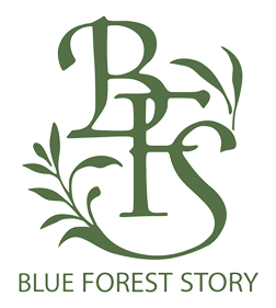 Blue Forest Story: Kaze no Fuuin - Clear Logo Image