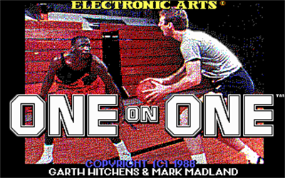Jordan vs. Bird: One-on-One - Screenshot - Game Title Image