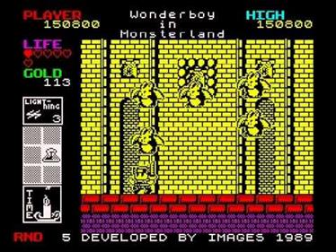 Super Wonder Boy in Monsterland - Screenshot - Gameplay Image