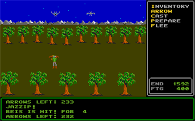 Rings of Zilfin - Screenshot - Gameplay Image