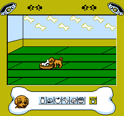 Pet Dog