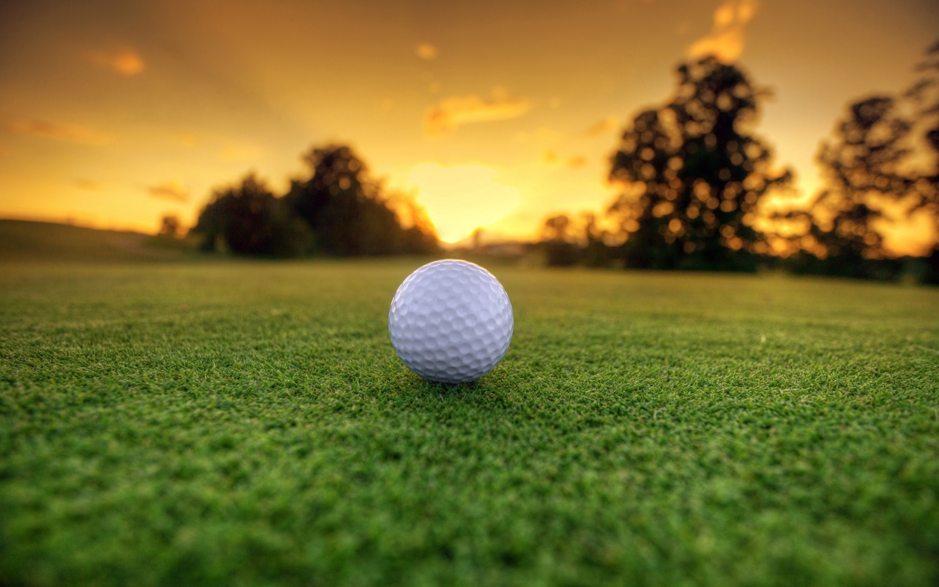 Hole in One