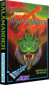 Salamander  - Box - 3D Image