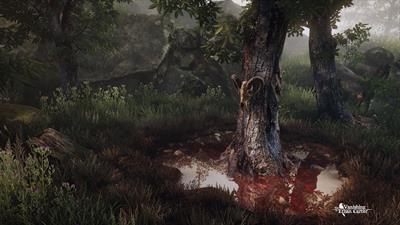 The Vanishing of Ethan Carter - Screenshot - Gameplay Image