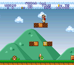 Super Mario Bros.: The Lost Mario Quest