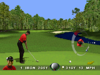 Tiger Woods 99: PGA Tour Golf