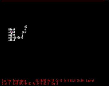 NetHack - Screenshot - Gameplay Image