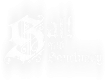 Salt and Sanctuary - Clear Logo Image