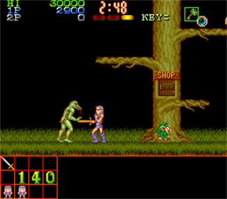 Legend of Makai - Screenshot - Gameplay