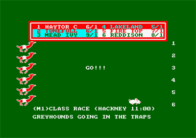 Wembley Greyhounds - Screenshot - Gameplay Image