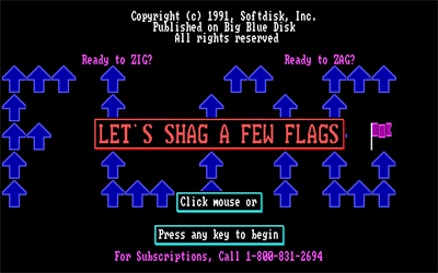 Zig Zag Flag Shag - Screenshot - Game Title Image