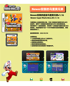 Newer Super Mario Bros. DS - Advertisement Flyer - Front Image