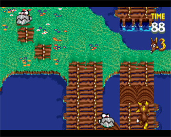 Cross Country - Screenshot - Gameplay Image