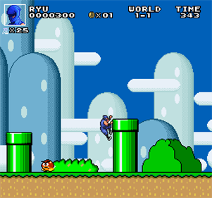 Super Mario Bros. Crossover - Screenshot - Gameplay Image