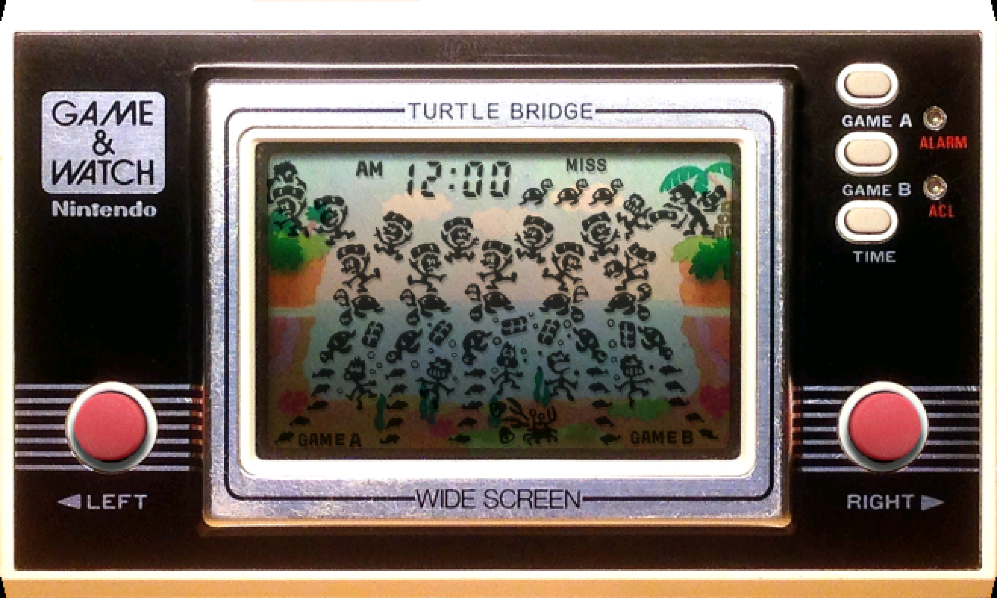 Turtle Bridge