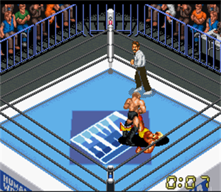 Super Fire Pro Wrestling X Premium - Screenshot - Gameplay Image