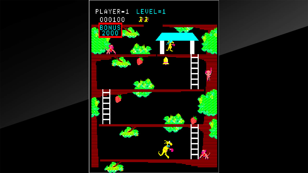 Arcade Archives Kangaroo