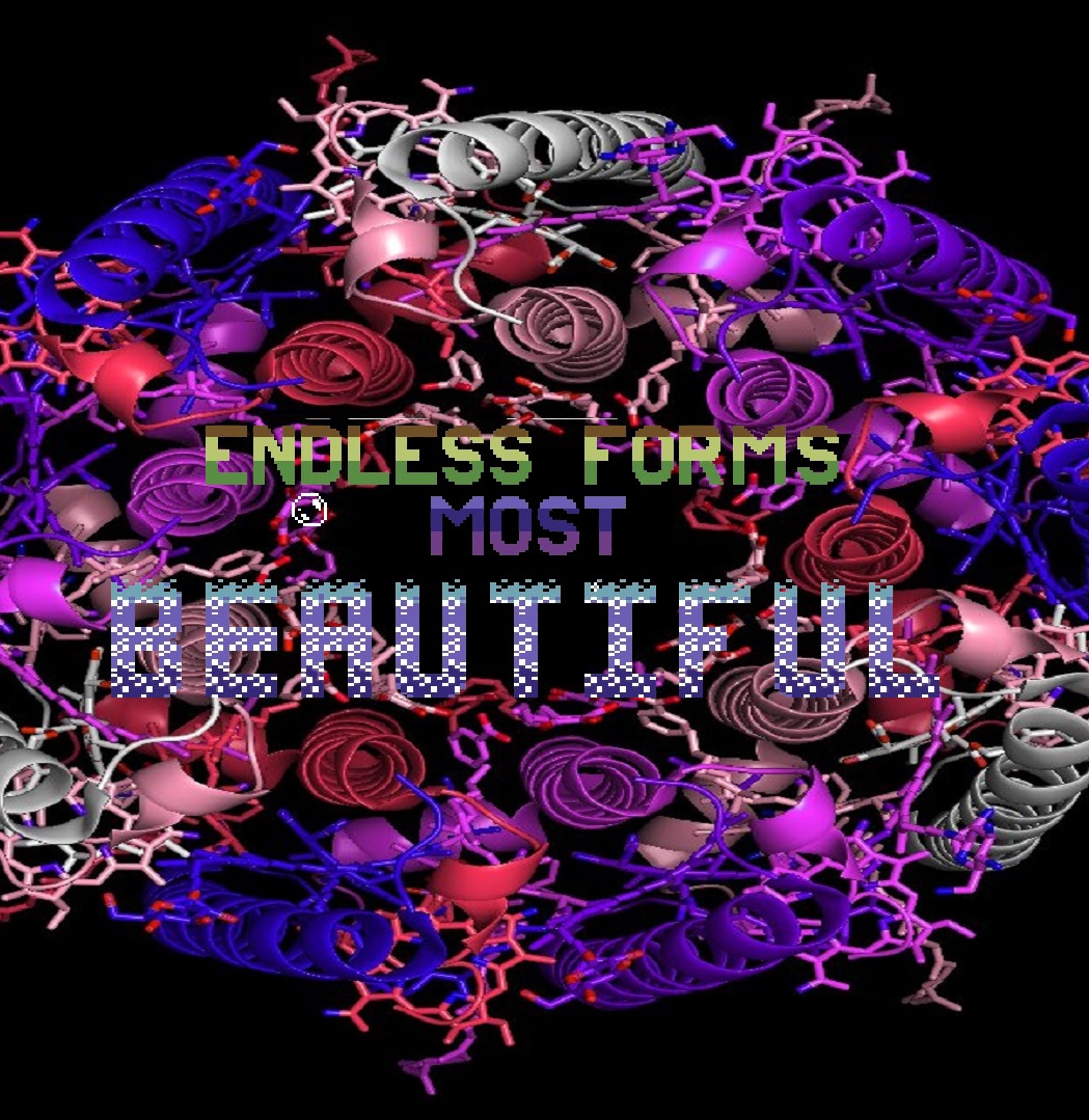 Endless Forms Most Beautiful 64
