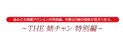 Onechanbara: The Onechan Special Chapter (Simple 2000 Series Vol. 80) - Clear Logo Image