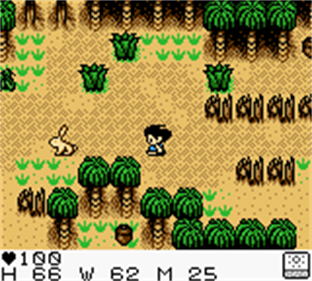 Survival Kids - Screenshot - Gameplay Image