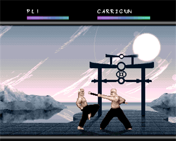 Full Contact - Screenshot - Gameplay Image