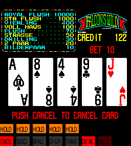 Falcons Wild: Wild Card 1991