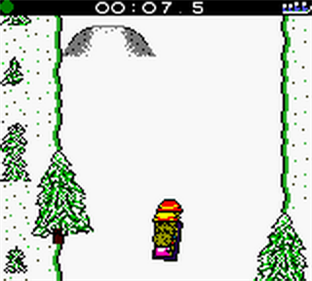 Extreme Sports with the Berenstain Bears - Screenshot - Gameplay Image
