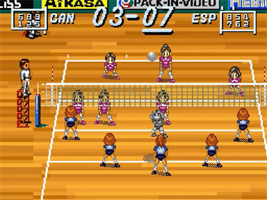 Multi Play Volleyball - Screenshot - Gameplay Image