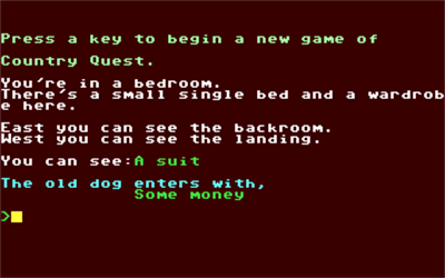 Country Quest - Screenshot - Gameplay Image