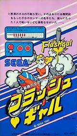 FlashGal - Arcade - Controls Information Image