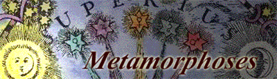 Metamorphoses - Banner Image