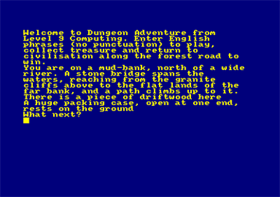 Dungeon Adventure (Level 9 Computing) - Screenshot - Gameplay Image