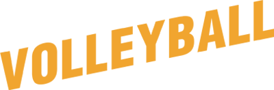 Volleyball - Clear Logo Image