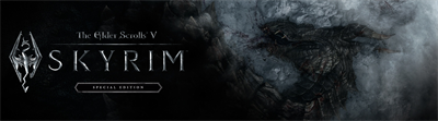 The Elder Scrolls V: Skyrim: Special Edition - Banner