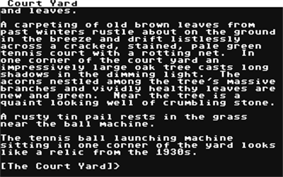 The Acorn Court - Screenshot - Gameplay