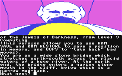 Jewels of Darkness - Screenshot - Gameplay Image
