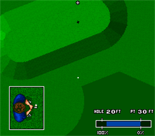 World Masters Golf - Screenshot - Gameplay Image