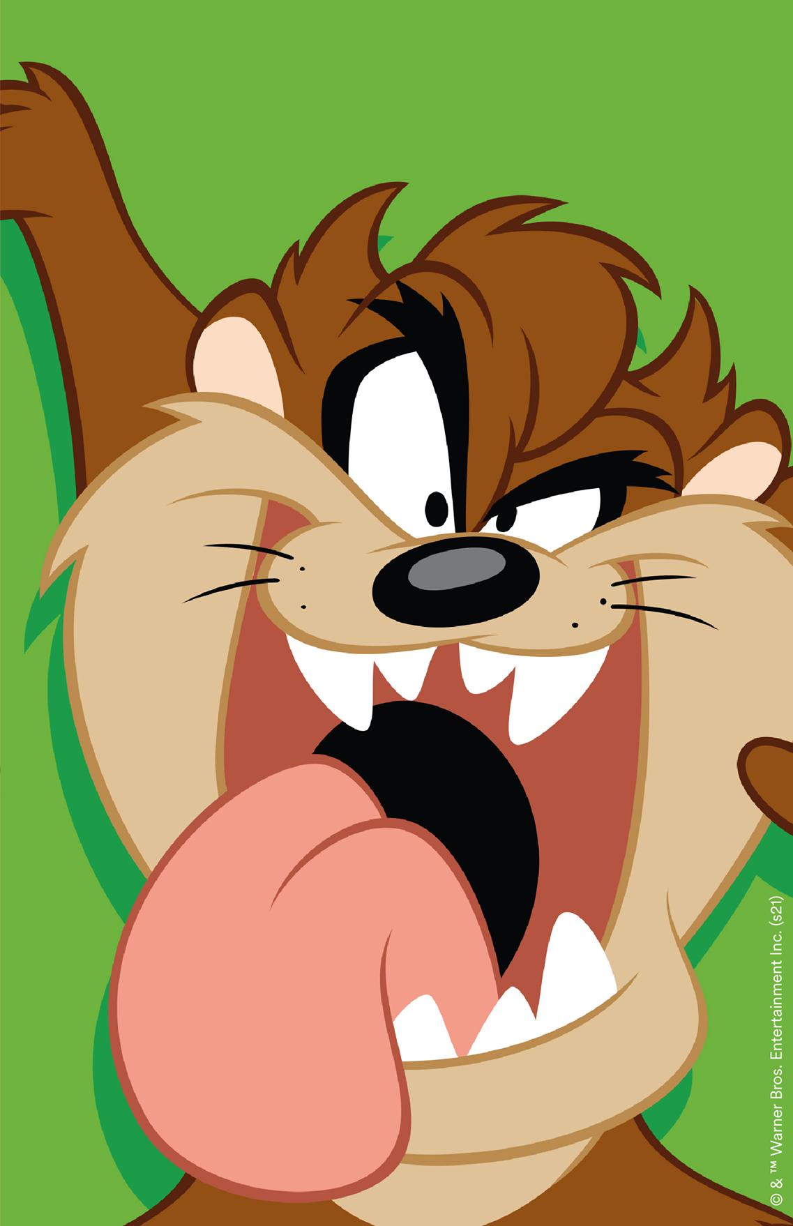 Taz: Wanted